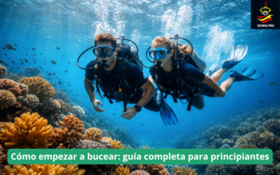 Cómo empezar a bucear: guía completa para principiantes