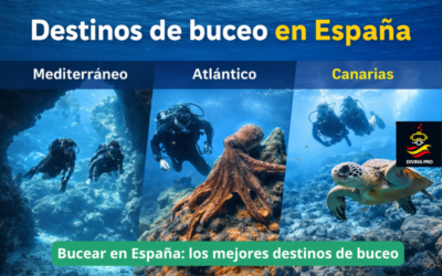 Bucear en España: los mejores destinos de buceo