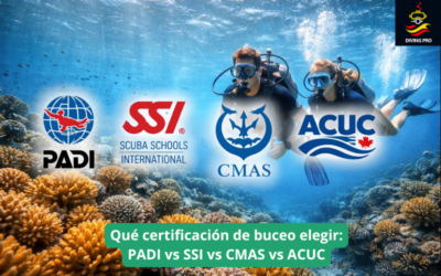 Qué certificación de buceo elegir: PADI vs SSI vs CMAS vs ACUC