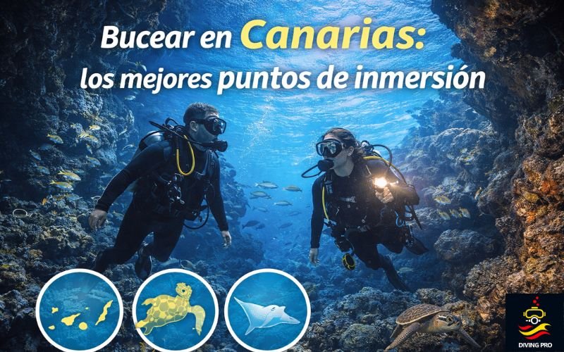 Bucear en Canarias: los mejores puntos de inmersión Bucear en Canarias