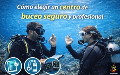 Cómo elegir un centro de buceo seguro y profesional