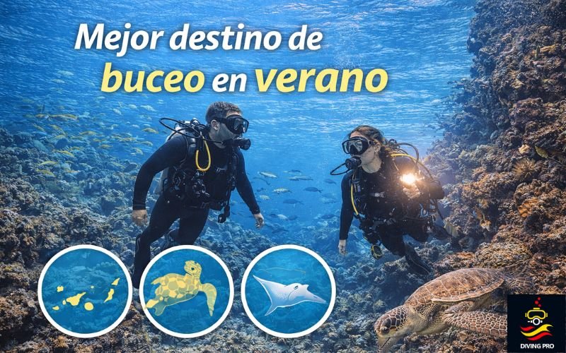 Mejor destino de buceo en verano Mejor destino de buceo en verano