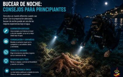 Bucear de noche: consejos para principiantes