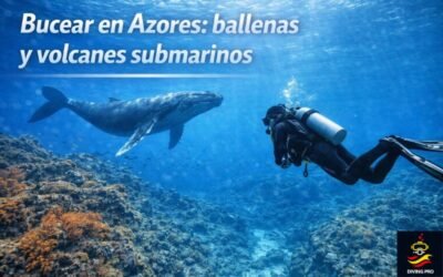 Bucear en Azores: ballenas y volcanes submarinos