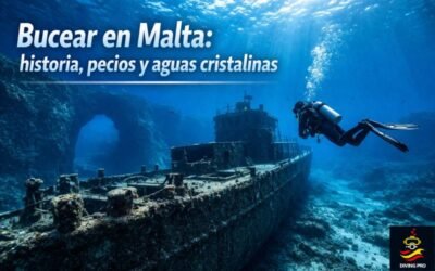 Bucear en Malta: historia, pecios y aguas cristalinas