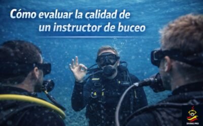 Cómo evaluar la calidad de un instructor de buceo