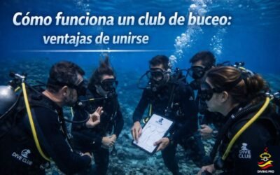 Cómo funciona un club de buceo: ventajas de unirse