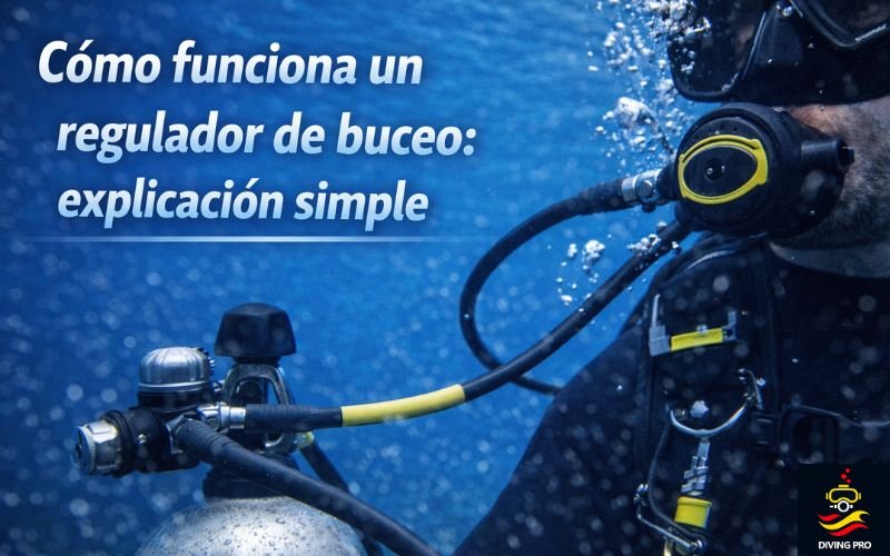 Cómo funciona un regulador de buceo: explicación simple
