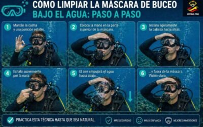 Cómo limpiar la máscara de buceo bajo el agua: paso a paso