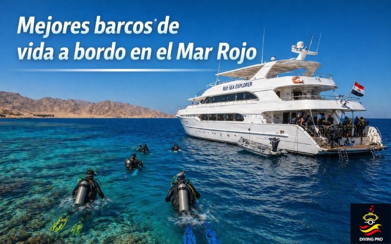 Mejores barcos de vida a bordo en el Mar Rojo Mejores barcos de vida a bordo en el Mar Rojo