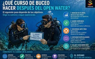 Qué curso de buceo hacer después del Open Water