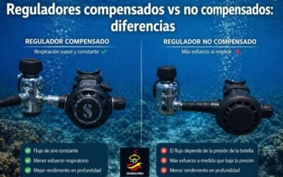 Reguladores compensados vs no compensados: diferencias