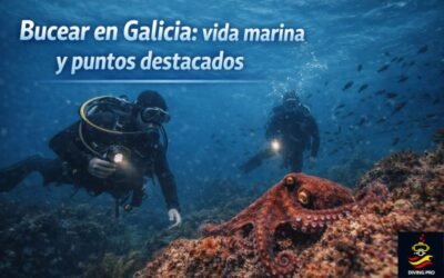 Bucear en Galicia: vida marina y puntos destacados