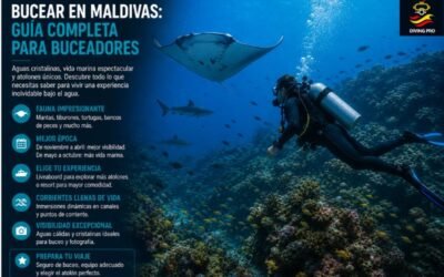 Bucear en Maldivas: guía completa para buceadores