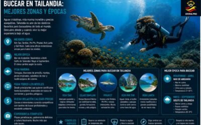 Bucear en Tailandia: mejores zonas y épocas