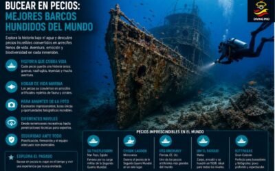 Bucear en pecios: mejores barcos hundidos del mundo