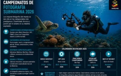Campeonatos de fotografía submarina 2026
