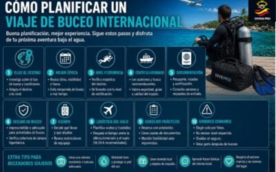 Cómo planificar un viaje de buceo internacional