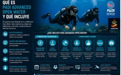 Qué es PADI Advanced Open Water y qué incluye