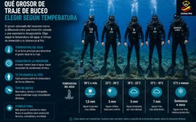 Qué grosor de traje de buceo elegir según temperatura