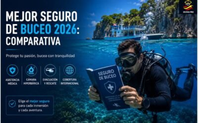 Mejor seguro de buceo 2026: comparativa