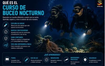 Qué es el curso de buceo nocturno